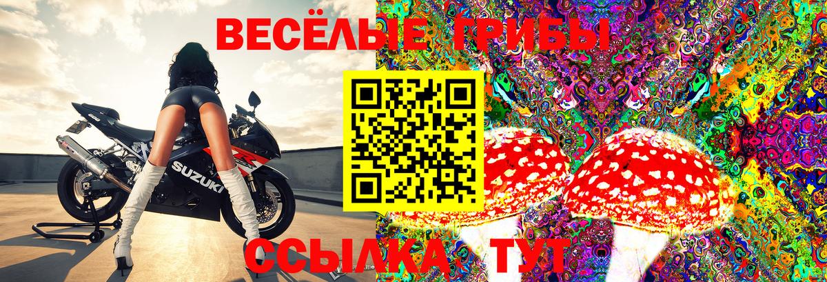 Галлюциногенные грибы мухоморы Альметьевск