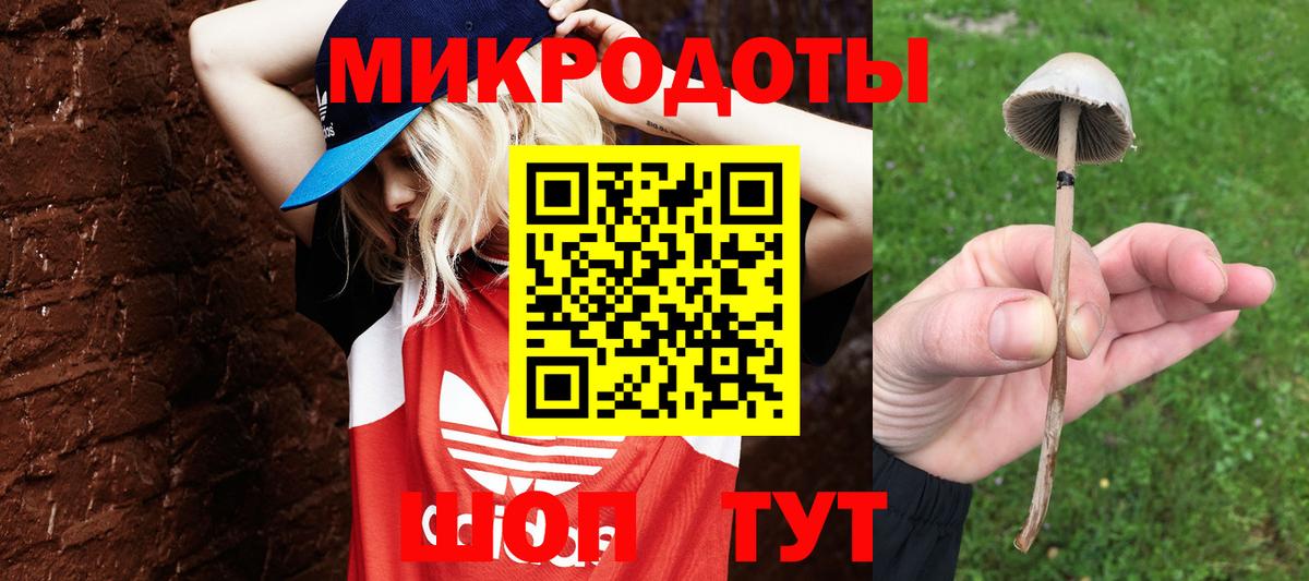 Псилоцибиновые грибы Psilocybe  Псилоцибиновые грибы Psilocybe  Вход с VPN  Альметьевск 